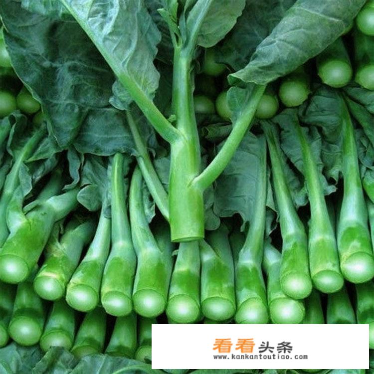 芥蓝菜介绍？