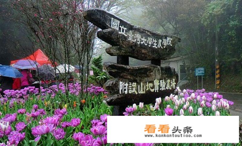 台湾的人文环境特色？