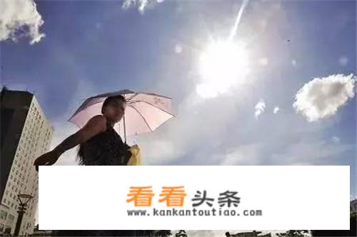 头伏饺子广告语？