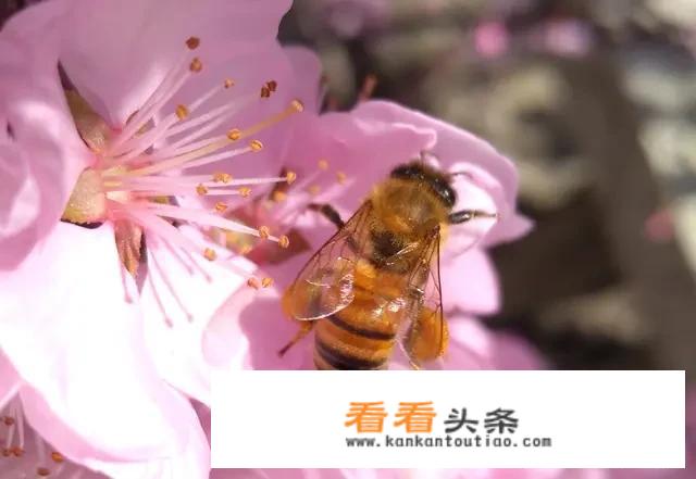 2021中国十大旅游城市排名？