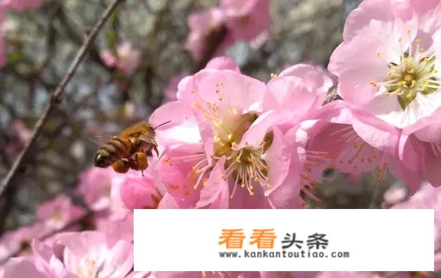 2021中国十大旅游城市排名？