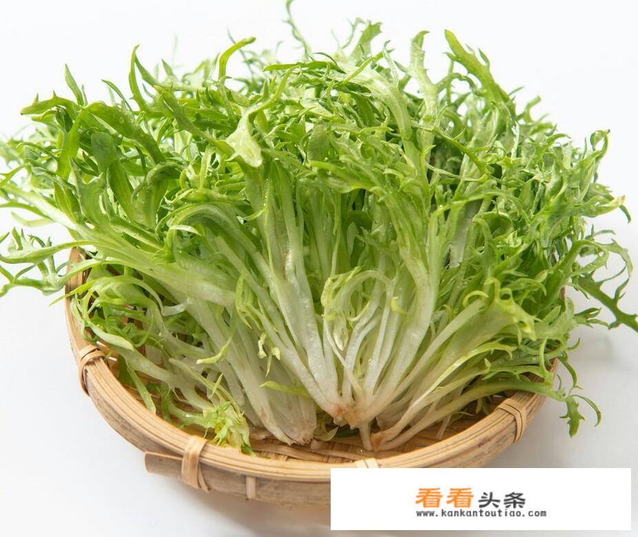 拌苦菊最正宗的做法？