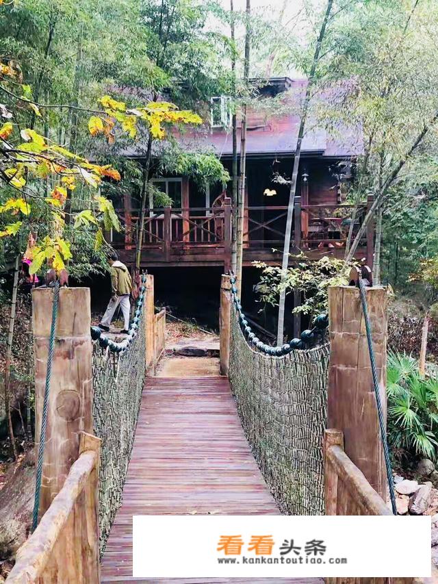 就是喜欢出国，每年都要出国旅游，但是还是不开心，怎么办？