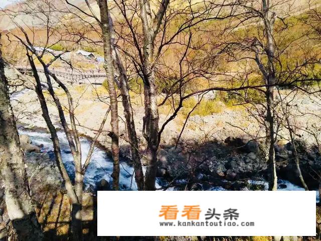 就是喜欢出国，每年都要出国旅游，但是还是不开心，怎么办？