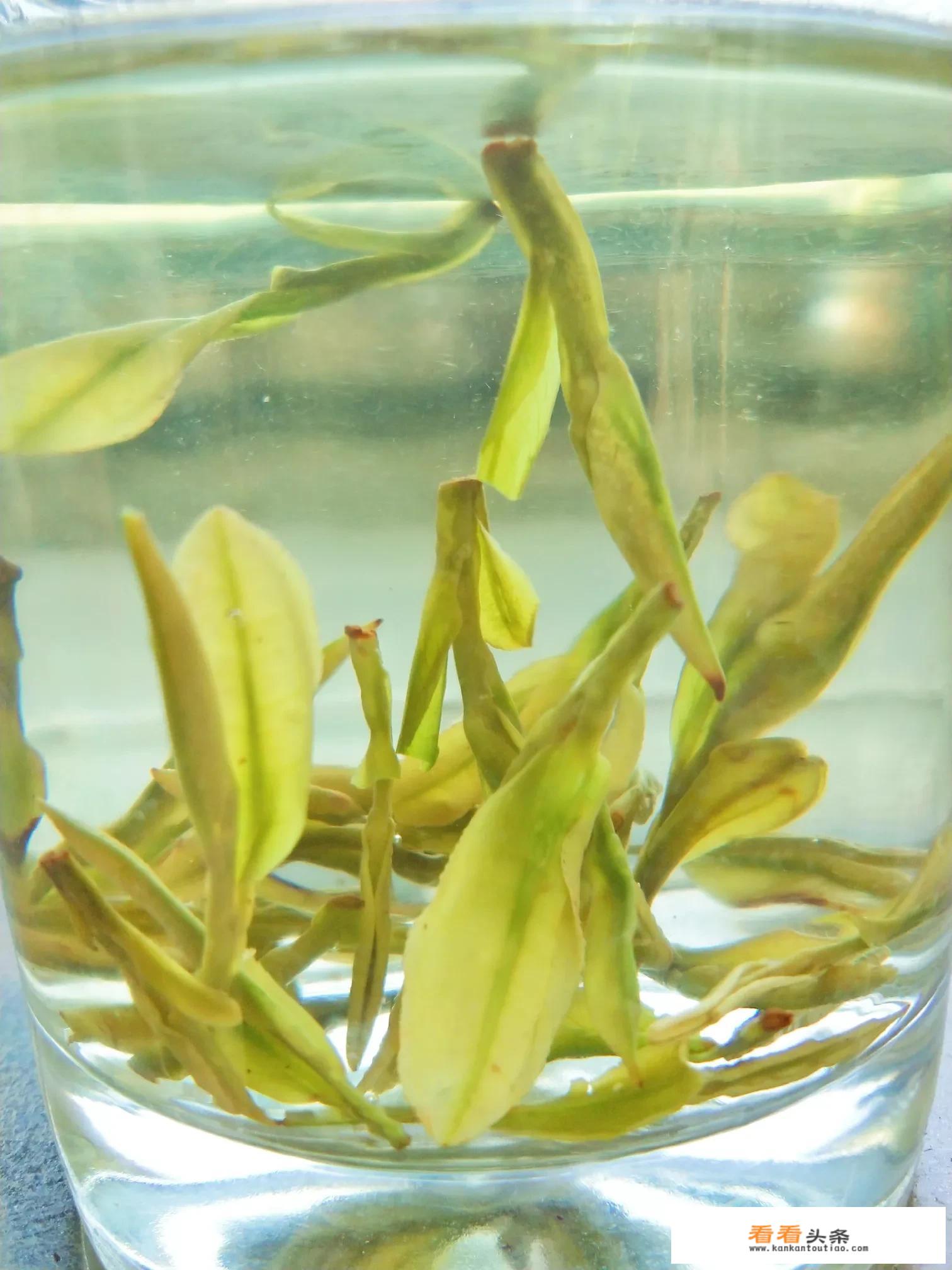 龙井茶分为哪些品种？