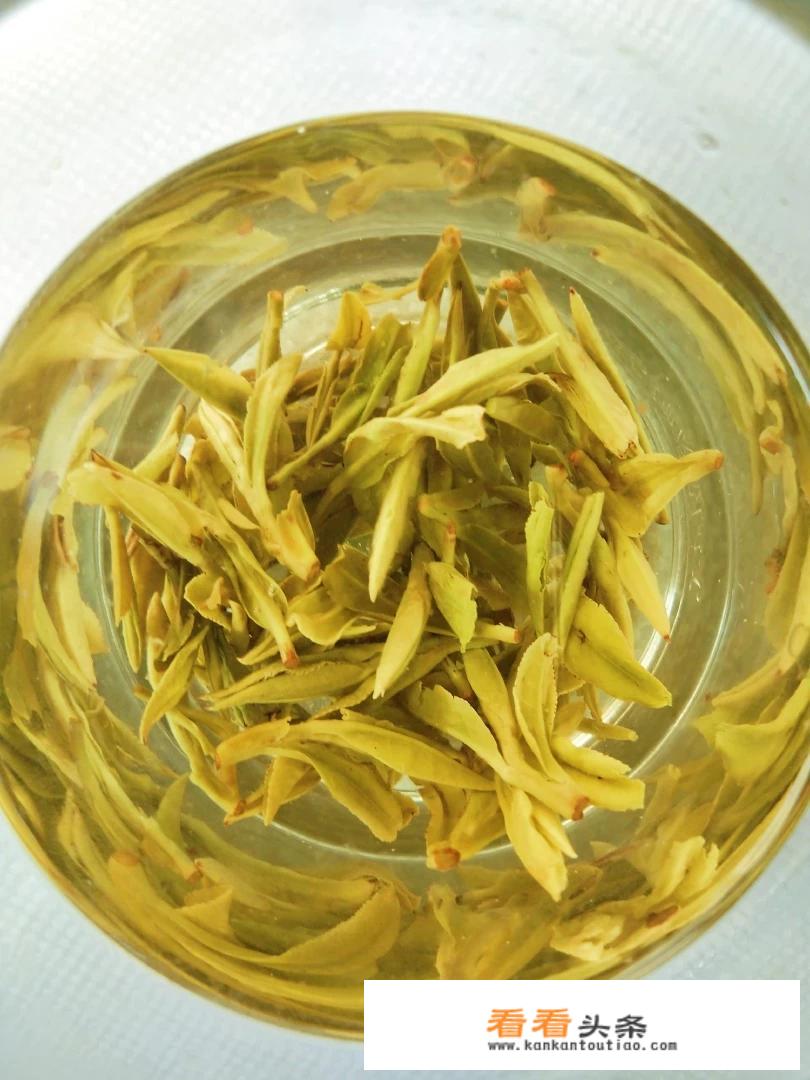 龙井茶分为哪些品种？