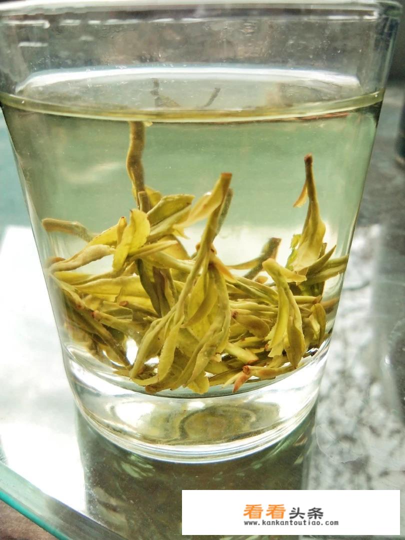 龙井茶分为哪些品种？