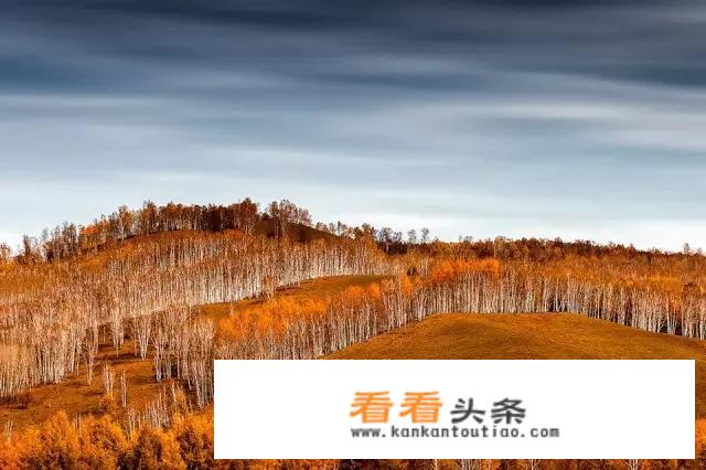想去呼伦贝尔看大草原在海拉尔包车请问海拉尔哪家包车好一点？