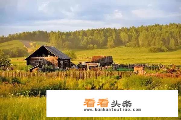 想去呼伦贝尔看大草原在海拉尔包车请问海拉尔哪家包车好一点？