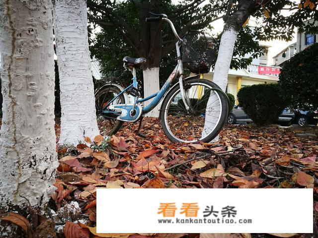 旅游目的地如何利用新媒体做好营销？