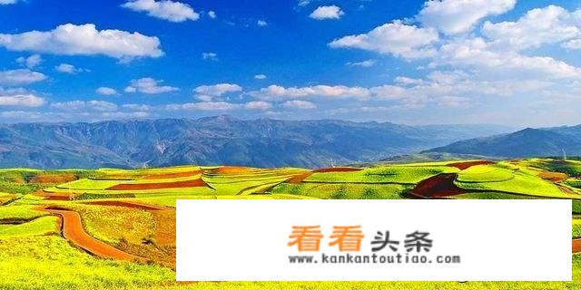 什么提出加强乡村文化旅游体育人才队伍建设？
