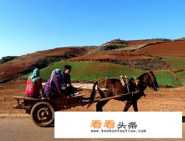 什么提出加强乡村文化旅游体育人才队伍建设？