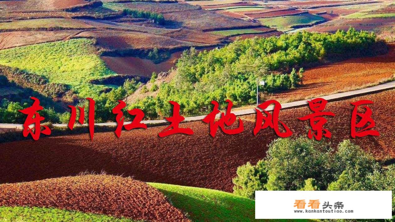什么提出加强乡村文化旅游体育人才队伍建设？