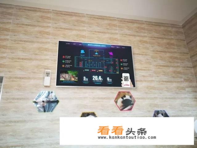 西安大明宫有几个厕所？