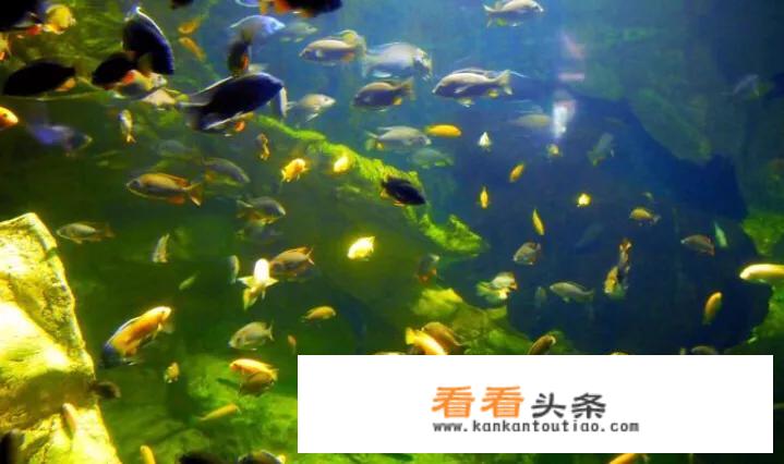 厦门亲子游文案？