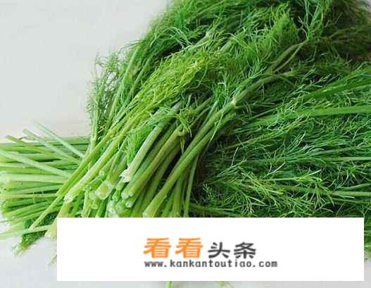 小茴香的吃法和做法？