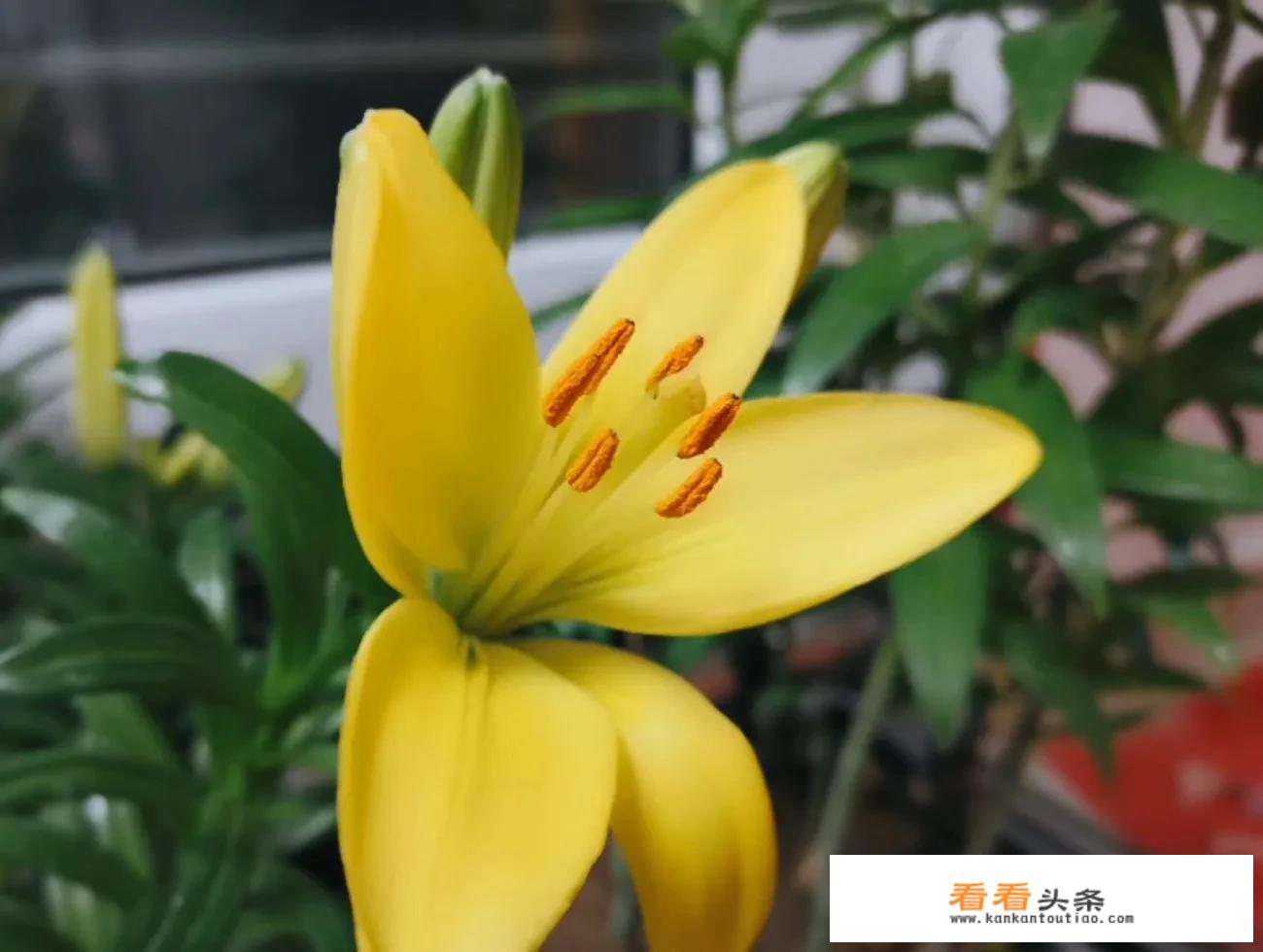 昨有美女开奔驰游故宫，故宫道谦，你怎么看？