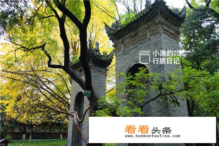 西安11月底秋景最好的地方？