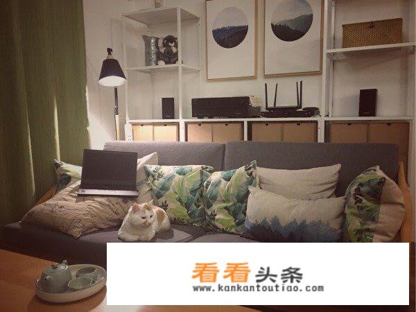 拼多多的装饰画比淘宝便宜很多？