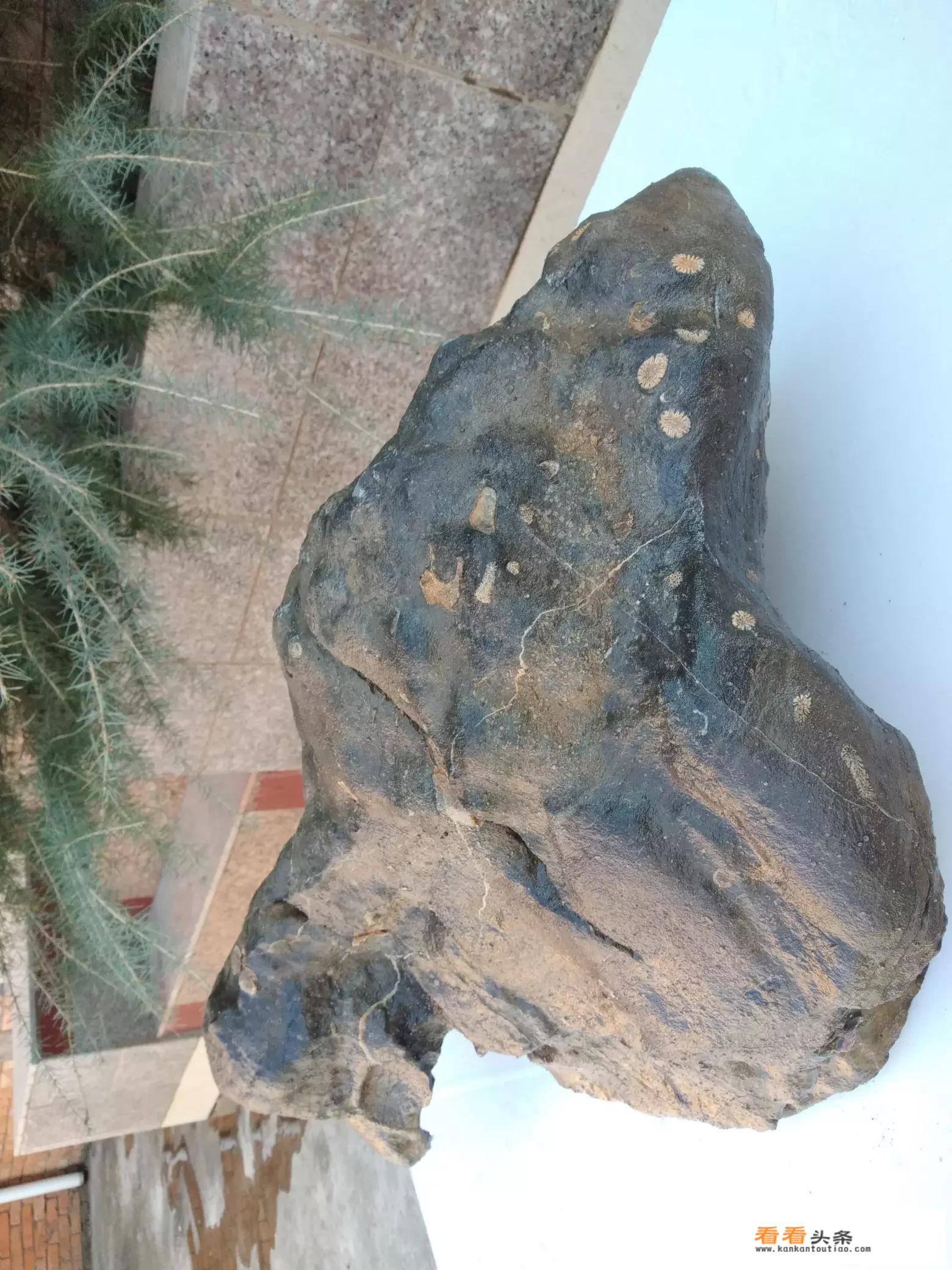 无磁性十大最贵陨石？