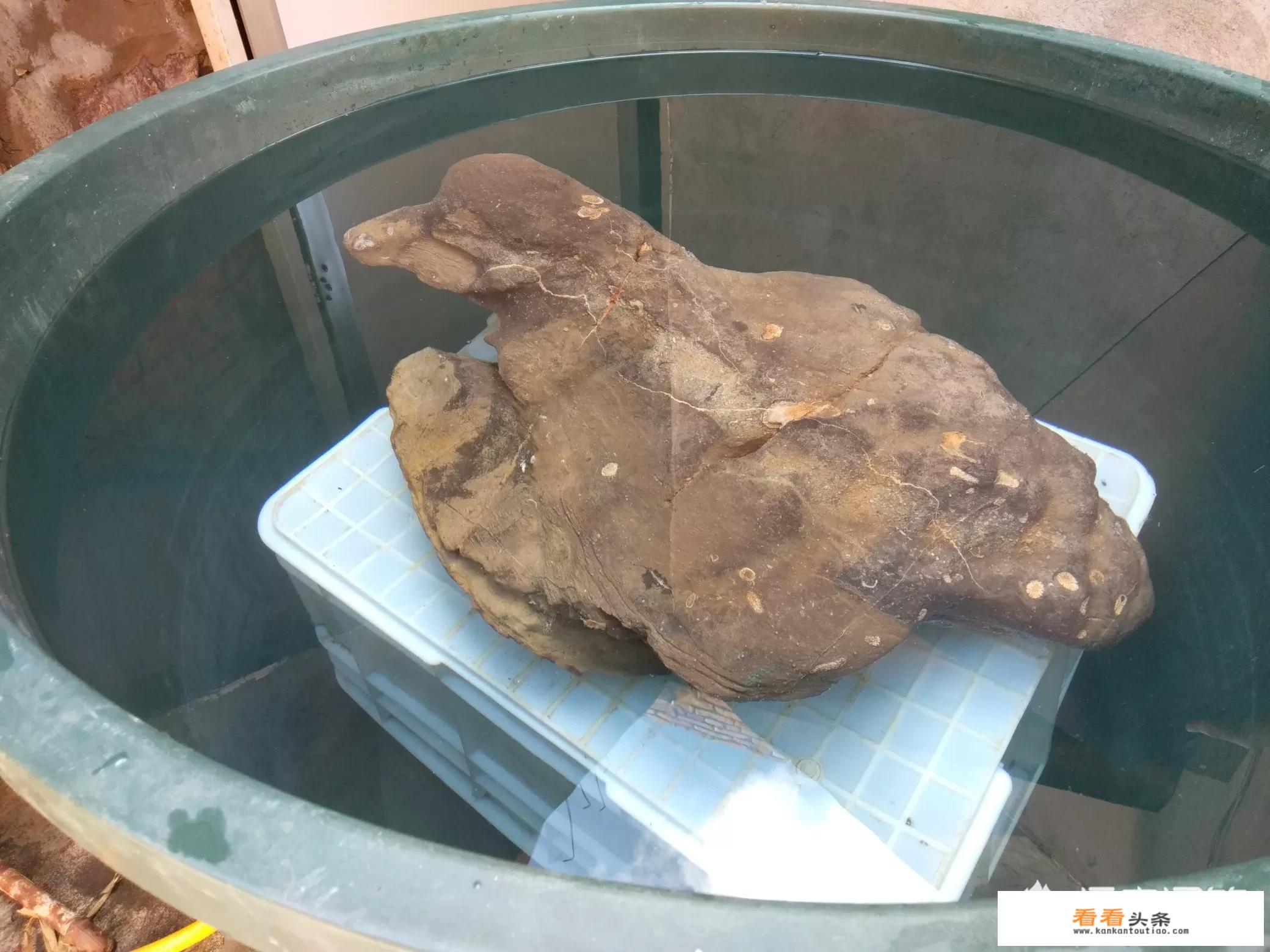 无磁性十大最贵陨石？