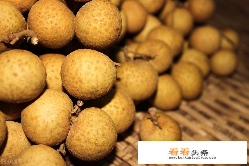 每天吃几个桂圆对身体最有益？