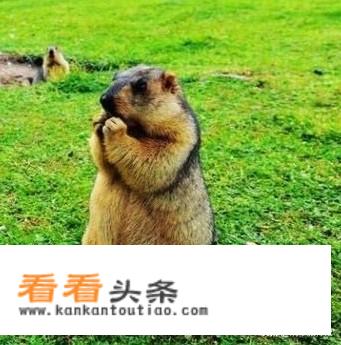 小众景点什么意思？