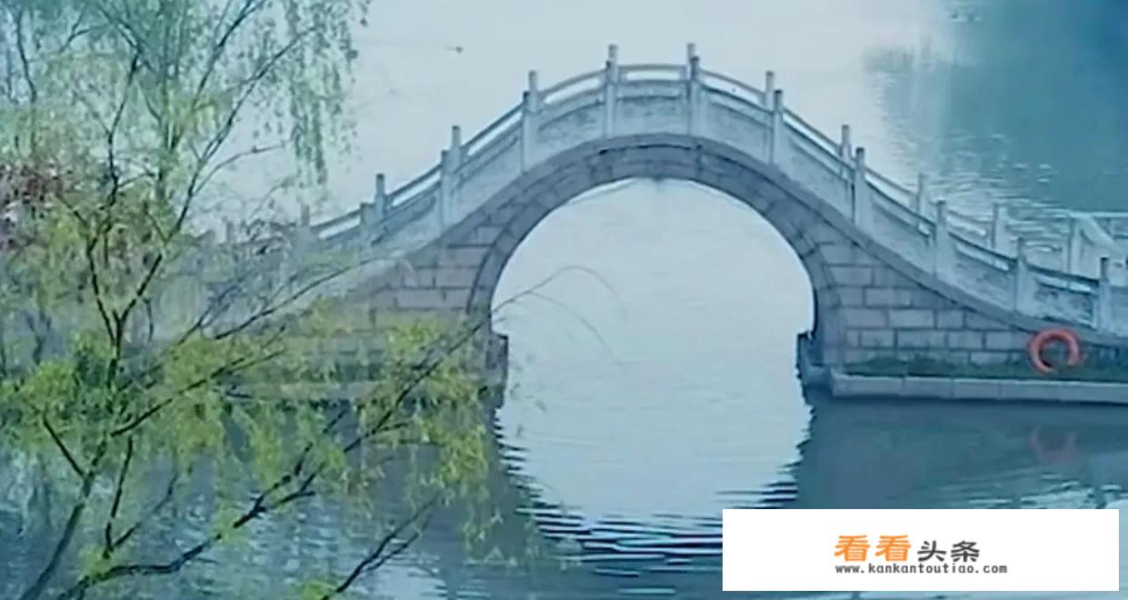 旅游名字叫什么好？