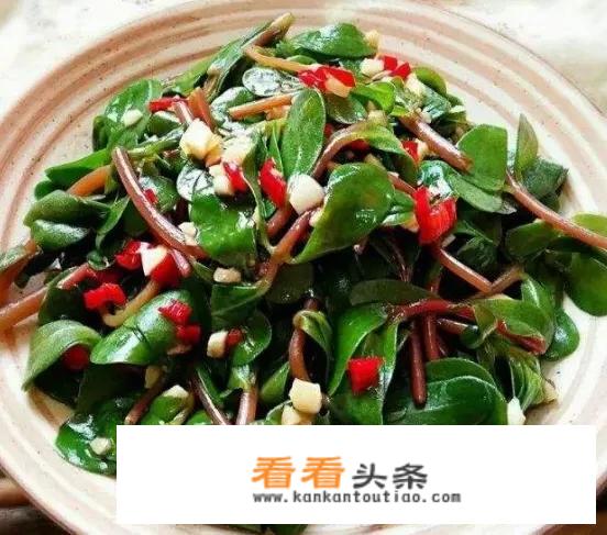 能否举例说说，做法简单味道大众的美味凉菜？