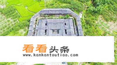 四川旅游国际形象新标识中的动物元素是什么？
