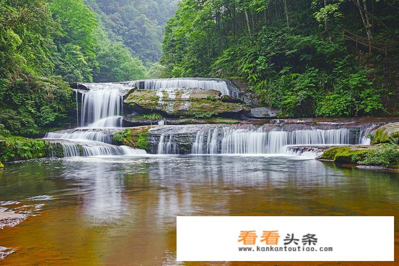 推荐鲜为人知的旅游胜地——四川古蔺黄荆老林？