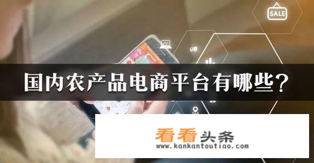 做得比较好农产品电商平台有哪些，谁家有什么特色嘛？