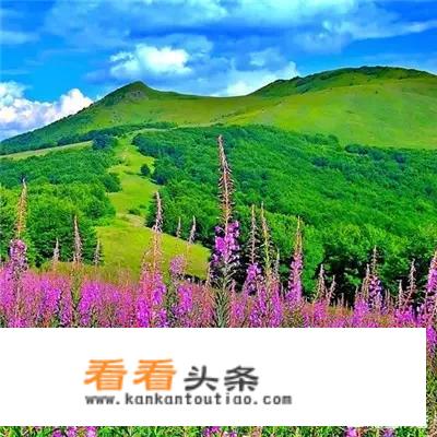 春季养生十大健康小知识？