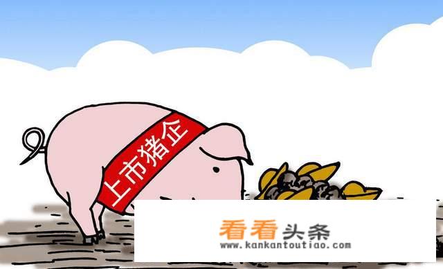 养猪的老板们已做好“猪价再低两年”的准备，为何却还逆势扩张？