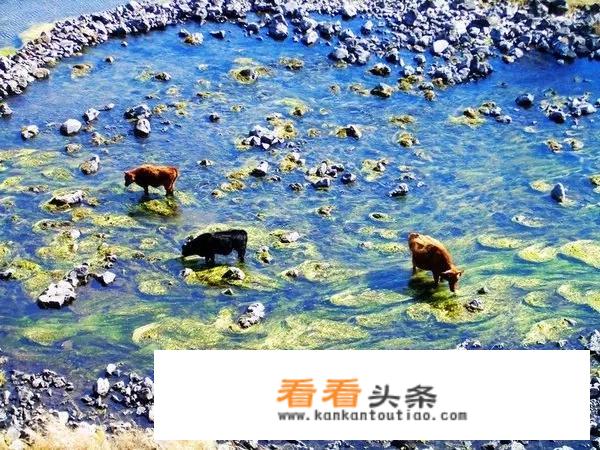 求推荐北京出发去科尔沁大草原自驾游攻略？