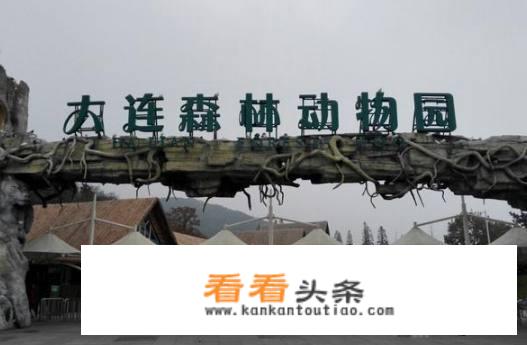 大连适合带2-3岁娃旅游的地方？