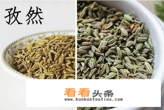 孜然和茴香的图片对比？