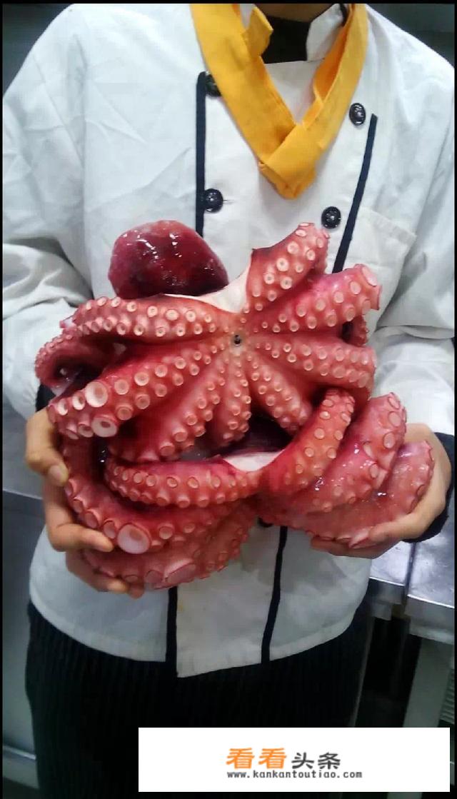 小八爪鱼怎么做好的凉菜？