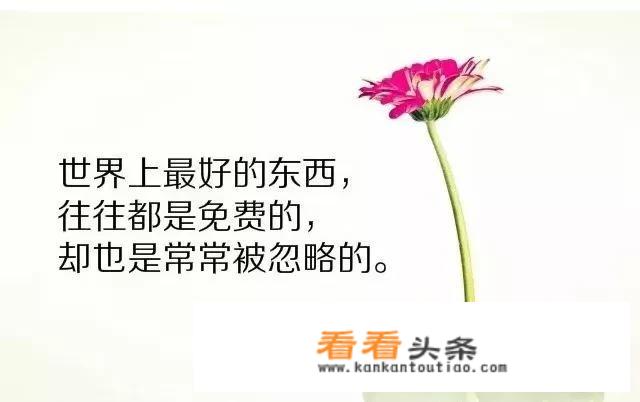 出国旅行15天必备清单？