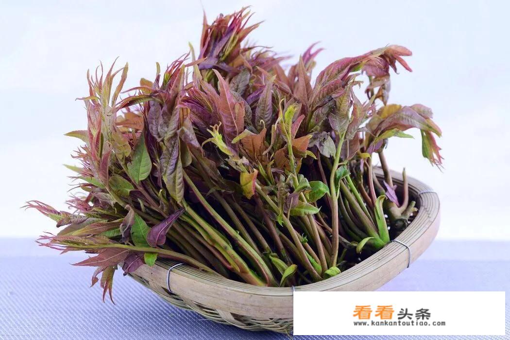 香椿的十种家常做法？
