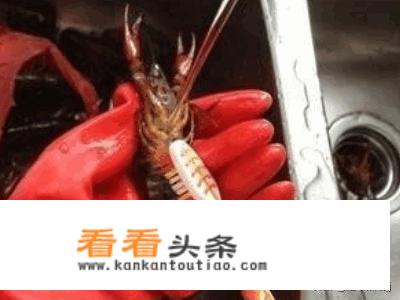 自己制作麻辣小龙虾吃法？