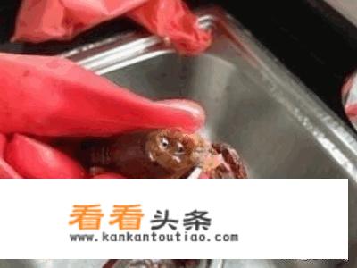自己制作麻辣小龙虾吃法？
