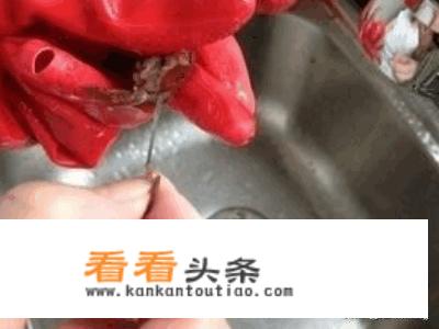 自己制作麻辣小龙虾吃法？