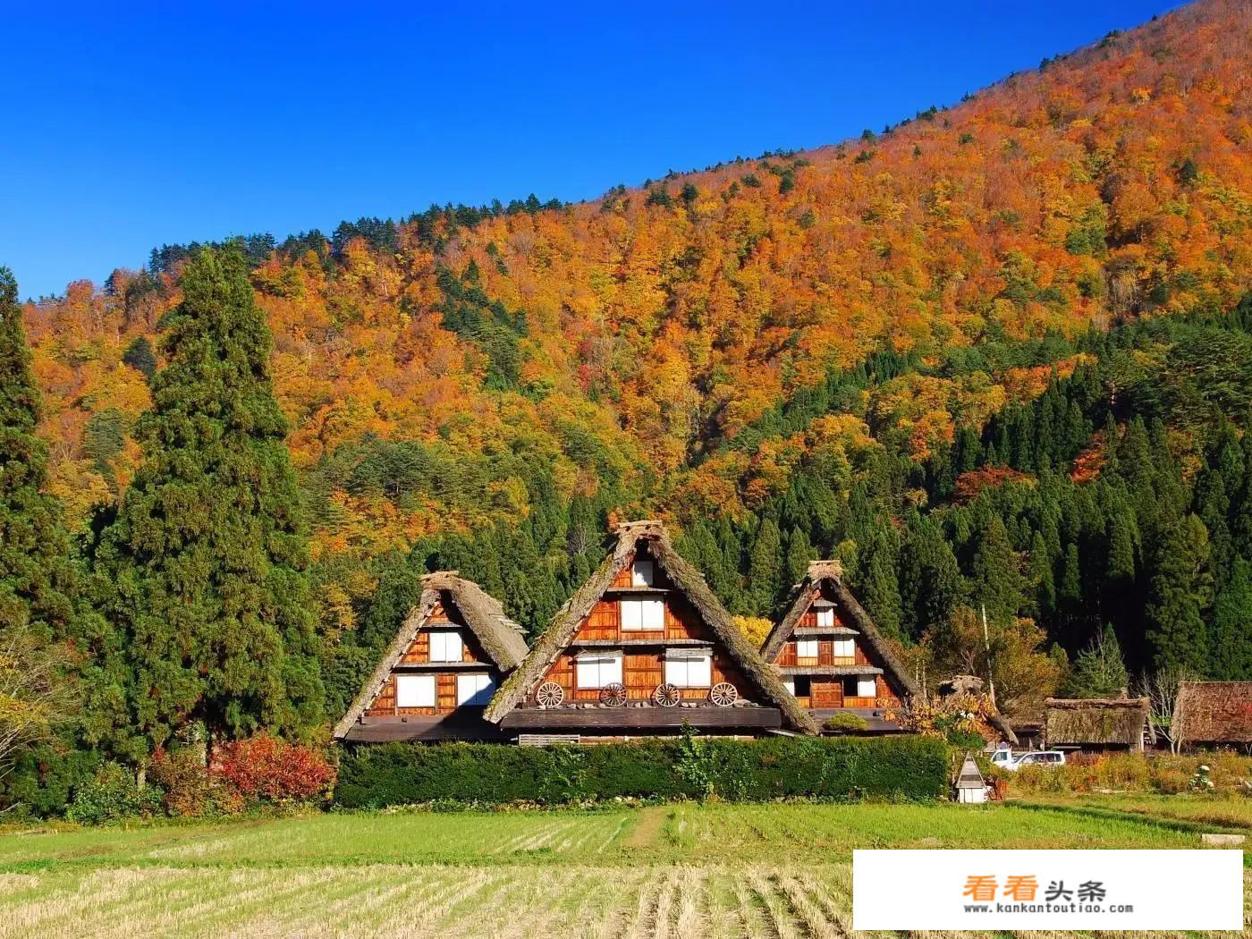对乡村旅游的阐述？