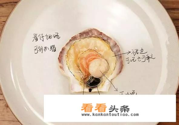 扇贝哪里不能吃？