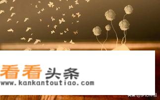 一尘网纸币报价？