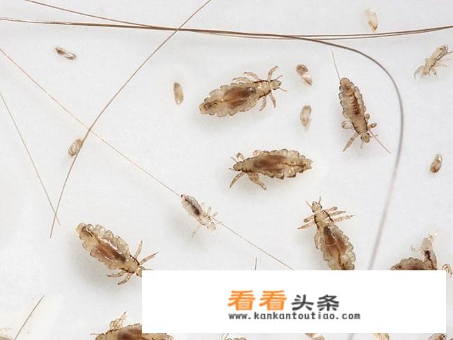 作用和用途意思一样吗？