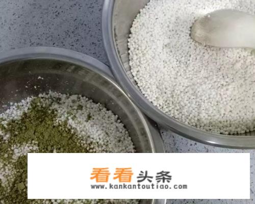什么西米包粽子最好？