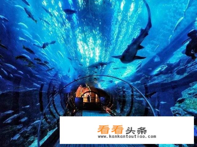 青岛过年期间旅游攻略？