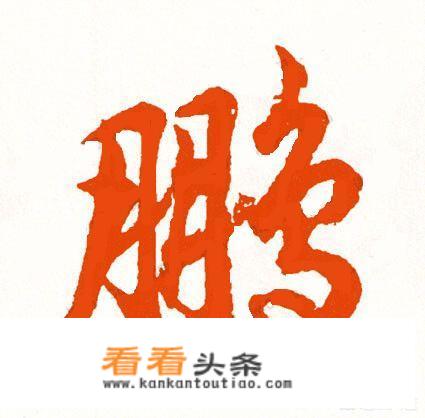 运动中网和曜夜中网哪个好看？